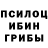 Псилоцибиновые грибы мицелий M Sji