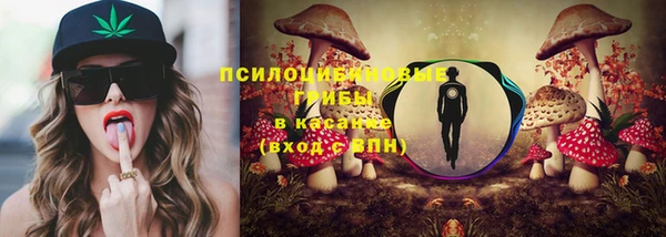 герыч Пересвет
